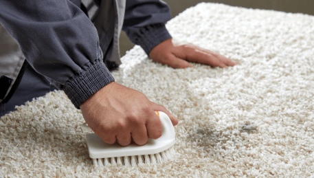 Professional Rug Cleaning Silvan